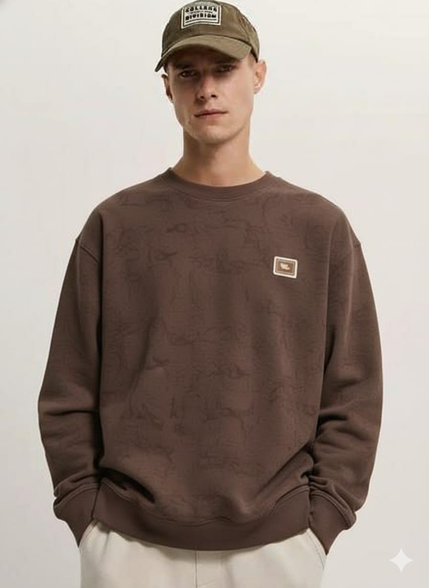 Brown full sleeve T shirt